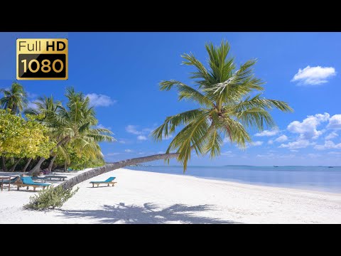 Mildest Beach Sounds from the Tropics - Ocean Wave Sounds for Sleeping, Yoga, Meditation, Study