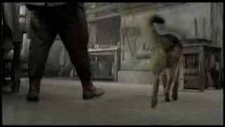 Movie Trailer - Finding Rin Tin Tin (2007)