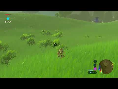 My First Guardian Encounter