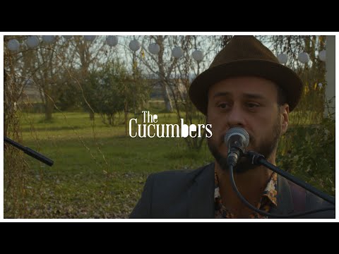 The Cucumbers - Folsom Prison Blues (Live Session) | Novocaïne (for the Soul)