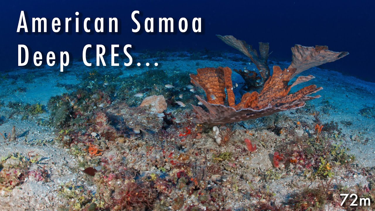 American Samoa NOAA Deep CRES preview...