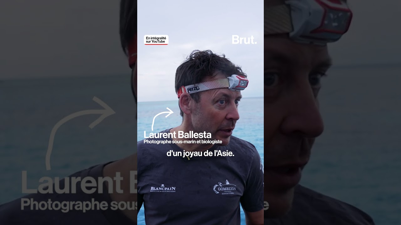 Il explore les profondeurs du récif de Tubbataha