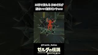 【ブレワイ】マヌケだが運はいい海外リンクｗｗ【ゼルダの伝説 ブレス オブ ザ ワイルド】