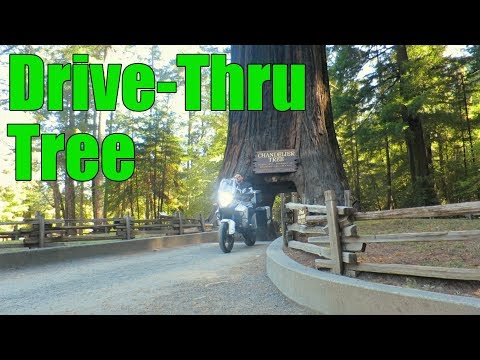 I Rode My KTM Thru a Tree | Cross Country Motorcycle Trip Day 8