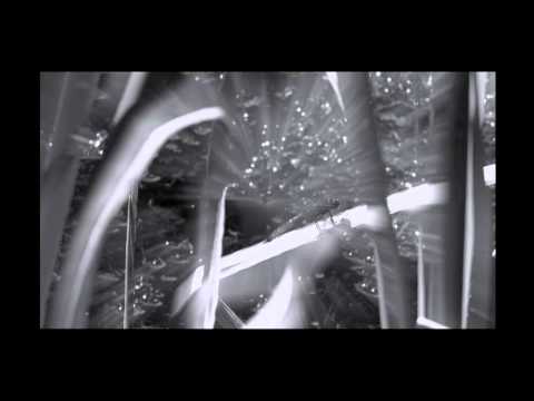 [Doomcore] Just A Pilgrim - Crocothemis Erythraea (Raum 107´s Dragonfly In A Nosedive Version)