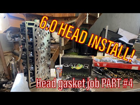 6.0 O-RING CYLINDER HEAD INSTALL! Powerstroke products heads and Gator Fasteners Head Studs