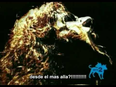 krdaniela’s Video 12215615057 Dm60LGl4DKs