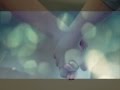 Mage As Walin Lyrics Video Dasun Madushan