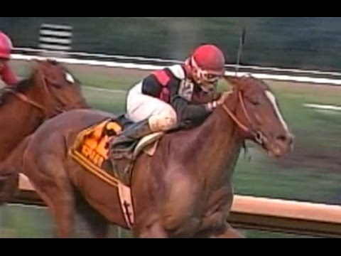 SPAGO - CLASICO DEL CARIBE 2004