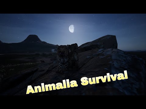 Surviving as a Leopard in the Harsh Plains of Africa!!- Animalia Survival