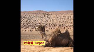 Turpan 08022026