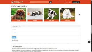 Dakhund - Sosis Köpek Fiyat - Yavru, Satılık & Sahiplendirme İlanları 