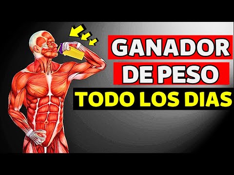 ESTO Pasa en tu Cuerpo si Tomas GANADORES DE PESO Todos los Días (mass gainer resultados) Como tomar