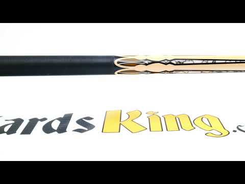 Dufferin D-SE19 Pool Stick - Cue View 360 - 4K Ultra HD Rotating 360 Degree Pan & Zoom