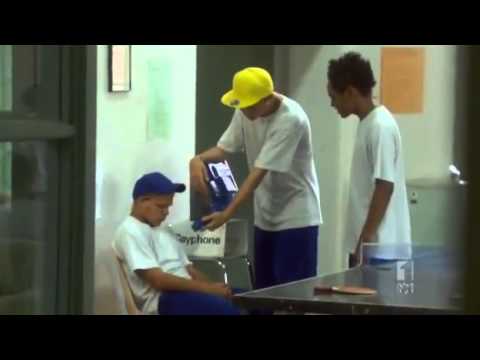Angry Boys - Dog Search
