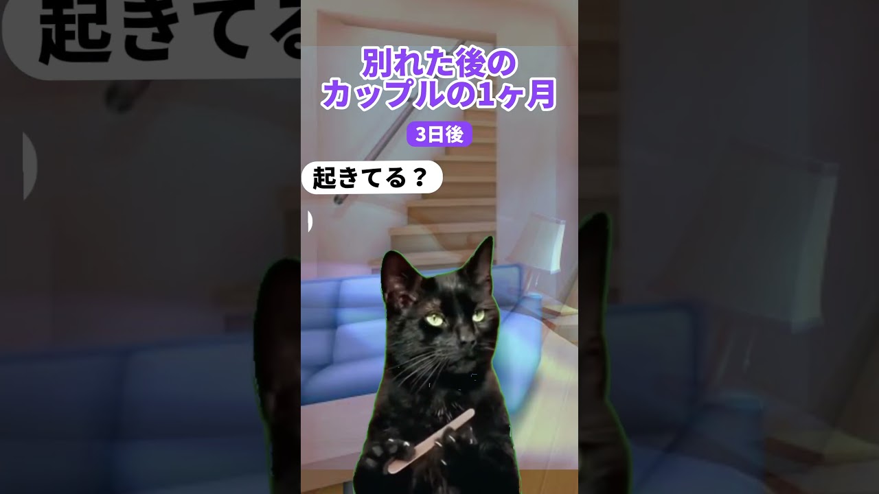 前回の続き！　#あるある #同棲 #猫マニ　#猫マニア #猫ミーム