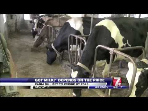 Milk Prices Could Soar if New Farm Bill isn't Passed