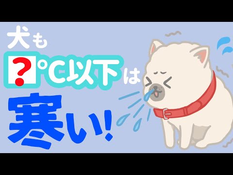 犬は寒いと感じますか?