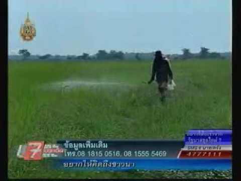 อย่า Stresam ส่งผลกระทบต่อความแรง วิธีการเพิ่มขนาดอวัยวะเพศ
