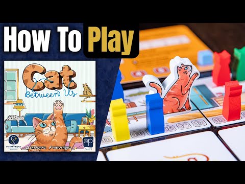 Cat Between Us | How to Play | Learn to Play in 4 Minutes!