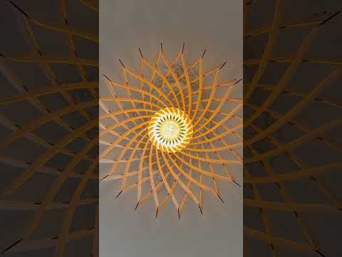 Suze La méduse - Vidéo