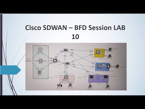 Cisco SD-WAN BFD Session Explained | How BFD Session Works?  Lab 10 #sdwan #ciscosdwan #viptela #bfd