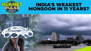 India: Monsoon Arrives Under Cloud of Doubt Amid El Nino Alarm | Planet Pulse | N18G