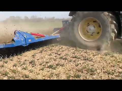 GST Biostar Rollstriegel im Raps getestet.