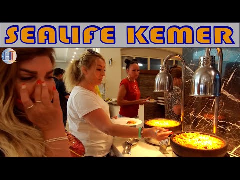 Videos del Sealife Kemer Resort 5★ en Kemer, TurquíaVer MásVerPrecios15CerrarConsulta por Whatsapp 🇦🇷BookingTripadvisorExpediaAgodaOrbitzTripSkyscannerDespegarKayakHotelesDestiniaTrivagoTurismocityLastminuteTui