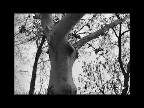 Parsegh  Ganatchean  -  Lullaby.  Anna Mayilyan & Ajemian Violin Ensemble