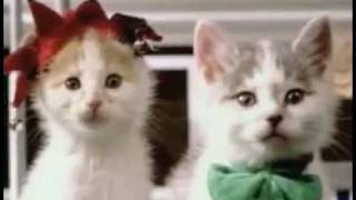 Fat Boy Slim - The joker