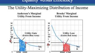 ch. 21 income inequality, poverty and discrimination