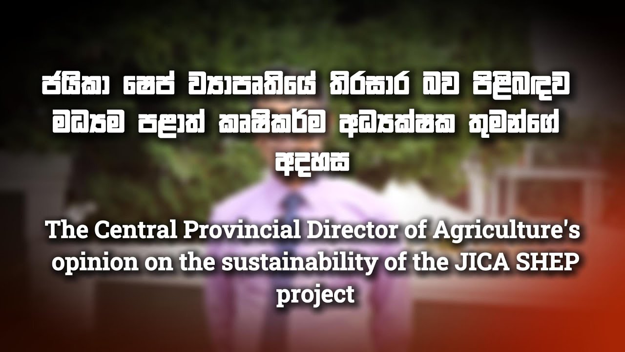 The Central Province director of Agriculture's opinion on the sustainability of the JICA SHEP Project