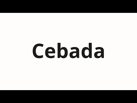 How to pronounce Cebada
