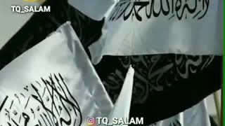Download lagu Saya yg akan pimpin perang (habib bahar bin smith mp3