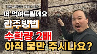 그 동안 여러분의 관주방법은 틀렸습니다.. 계획적으로 관주하세요 수확량 2배 됩니다 | 비료사관학교 5-2강…