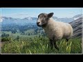 Starting a Cozy Farmstead on a Mountain | Ep. 1 | Planet Zoo Barnyard Animal Pack
