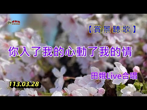 【賞景聽歌】~ 你入了我的心動了我的情