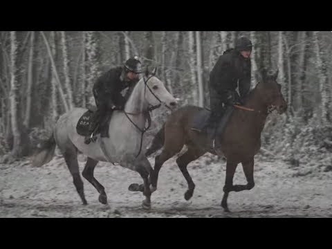 Behind the scenes with David Pipe and Neil Mulholland | This Racing Life