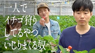 一人でイチゴ狩りしてるやついじりまくる奴