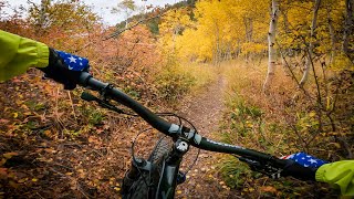 Fall Color