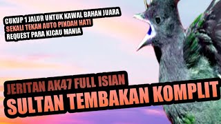 Download lagu SULTAN MENJERIT LANTANG!!!! FULL TEMBAKAN BERONDONG AK47 POWER JOSS || MASTERAN MURAI KACER CENDET mp3