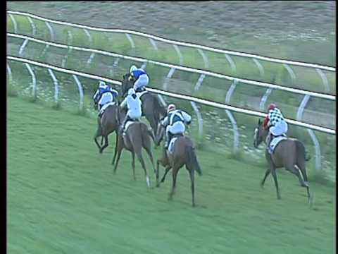 Galoppo 02/08/2017 - 4ª corsa