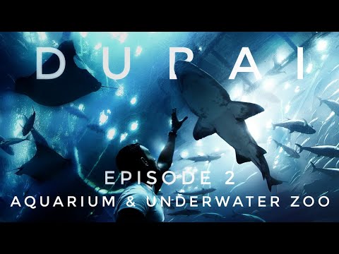 Dubai Vlog - Episode 2 | Cinematic Journey to Dubai Aquarium & Underwater Zoo Experience