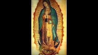 Melodía en el manto de la virgen de guadalupe Acordes - Chordify