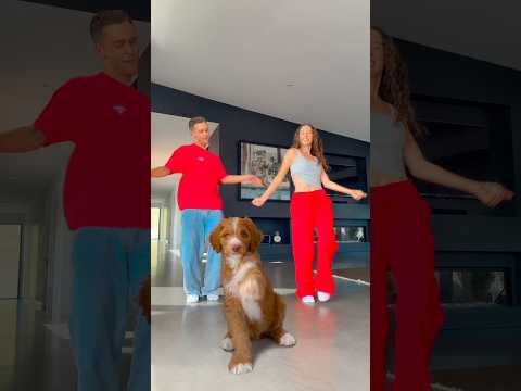 Puppy Dance Class! 😱🐶 #puppy #dance #viral