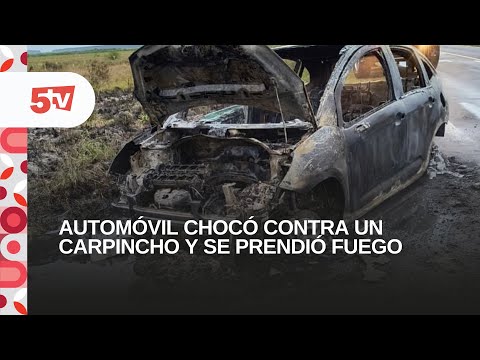 JOSÉ GÓMEZ, PERIODISTA -PASO DE LOS LIBRES - SE INCENDIÓ UN AUTOMÓVIL POR CHOCAR CONTRA UN CARPINCHO