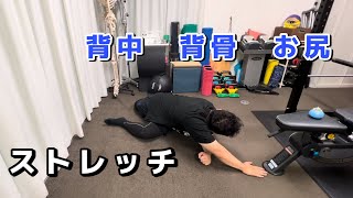 背中　背骨　お尻　ストレッチ