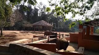 preview picture of video 'Pm star trip in mysore zoo'