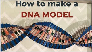 Easy! How to make a DNA Model from ice cream sticks (science project)